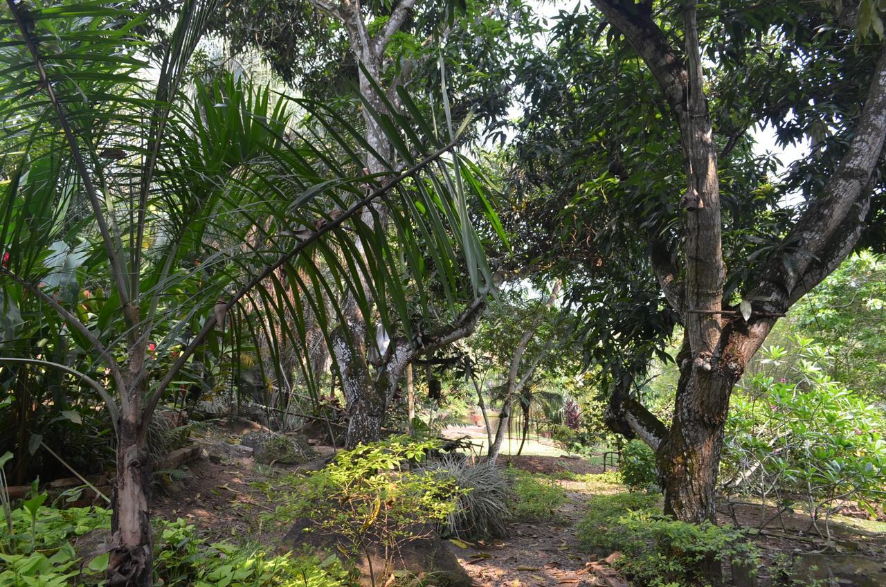 Hotel Amanwana Ecofinca Melgar Exterior foto