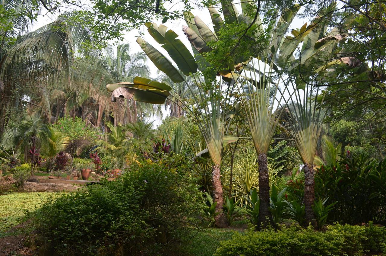 Hotel Amanwana Ecofinca Melgar Exterior foto