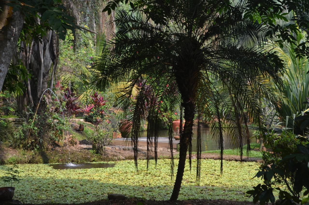 Hotel Amanwana Ecofinca Melgar Exterior foto