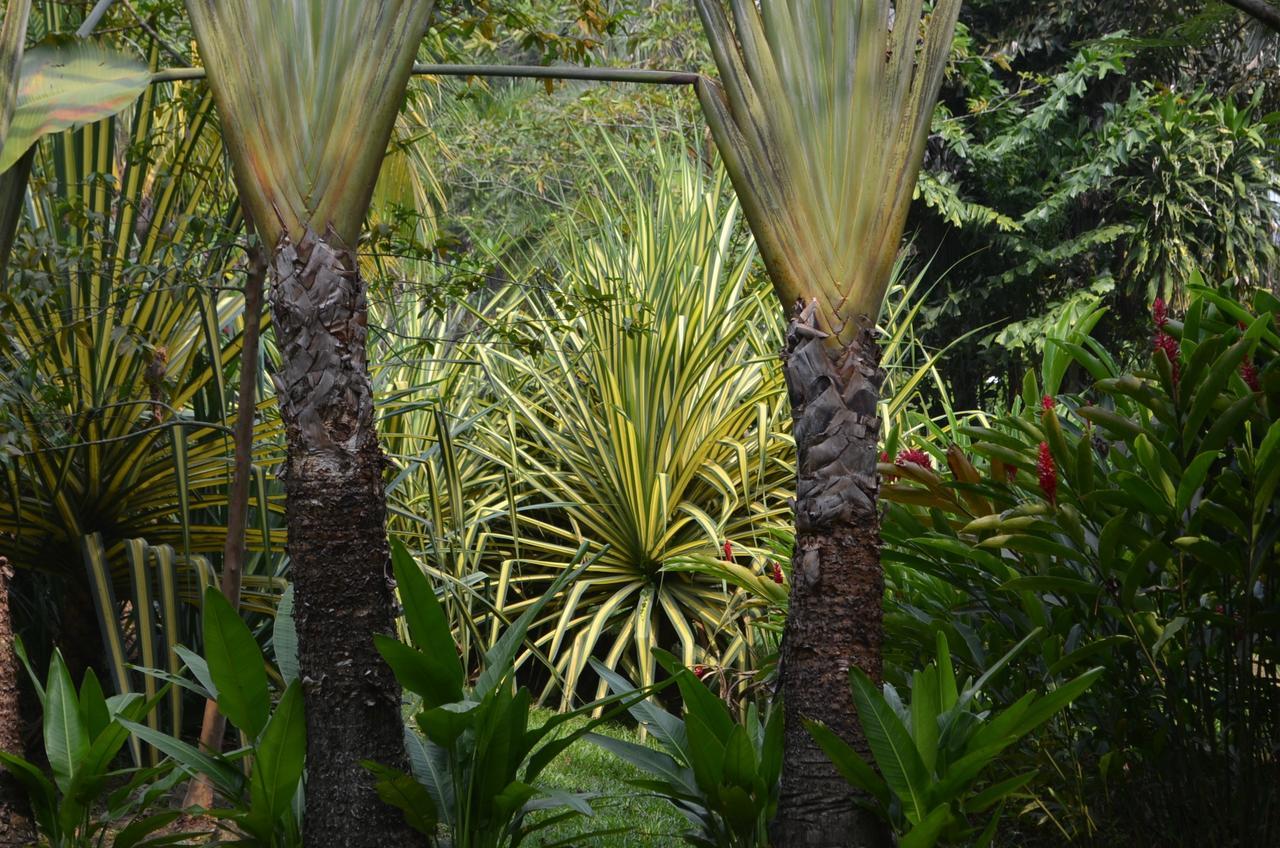 Hotel Amanwana Ecofinca Melgar Exterior foto