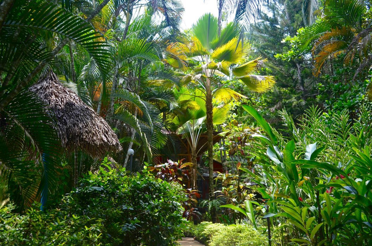 Hotel Amanwana Ecofinca Melgar Exterior foto